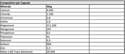 Magnalon Forte (magnesium + mineralen)